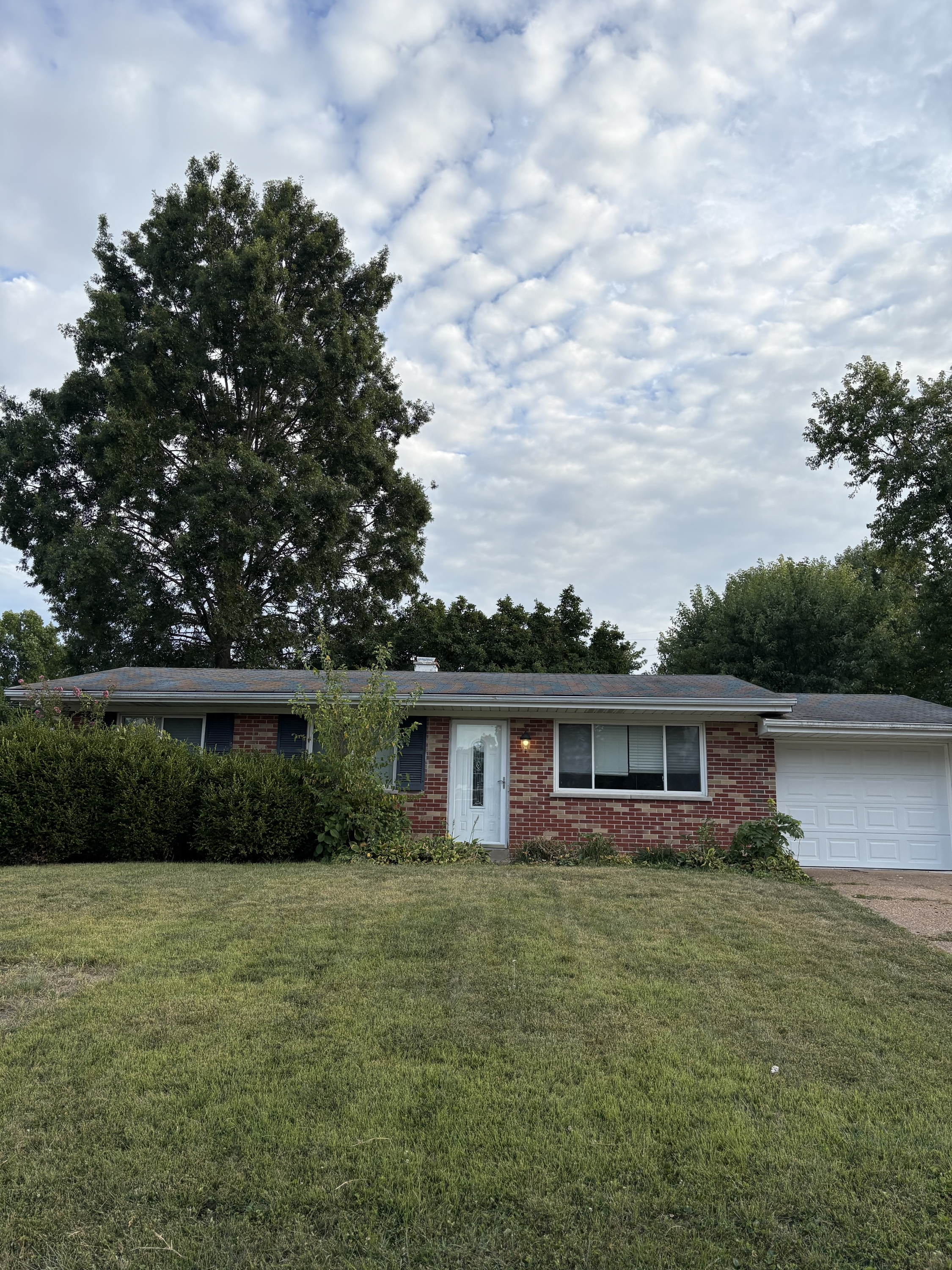 448 Terryville Drive - 1